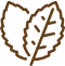 Feature Icon